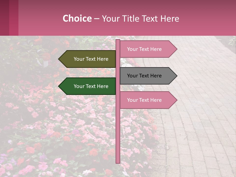 Flowers Blooming Colorful PowerPoint Template