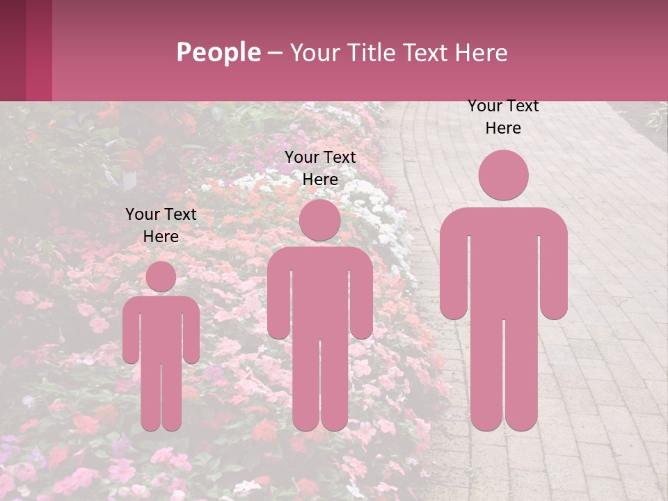 Flowers Blooming Colorful PowerPoint Template