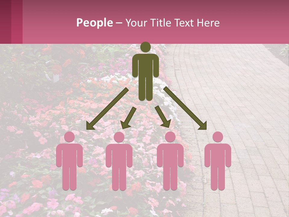 Flowers Blooming Colorful PowerPoint Template