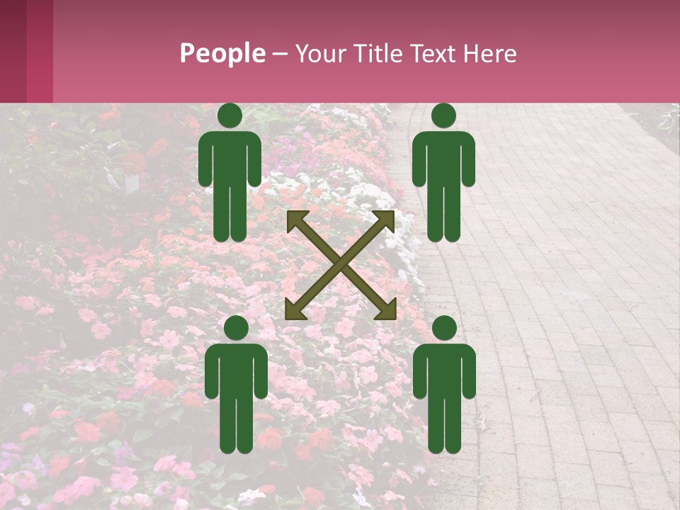 Flowers Blooming Colorful PowerPoint Template