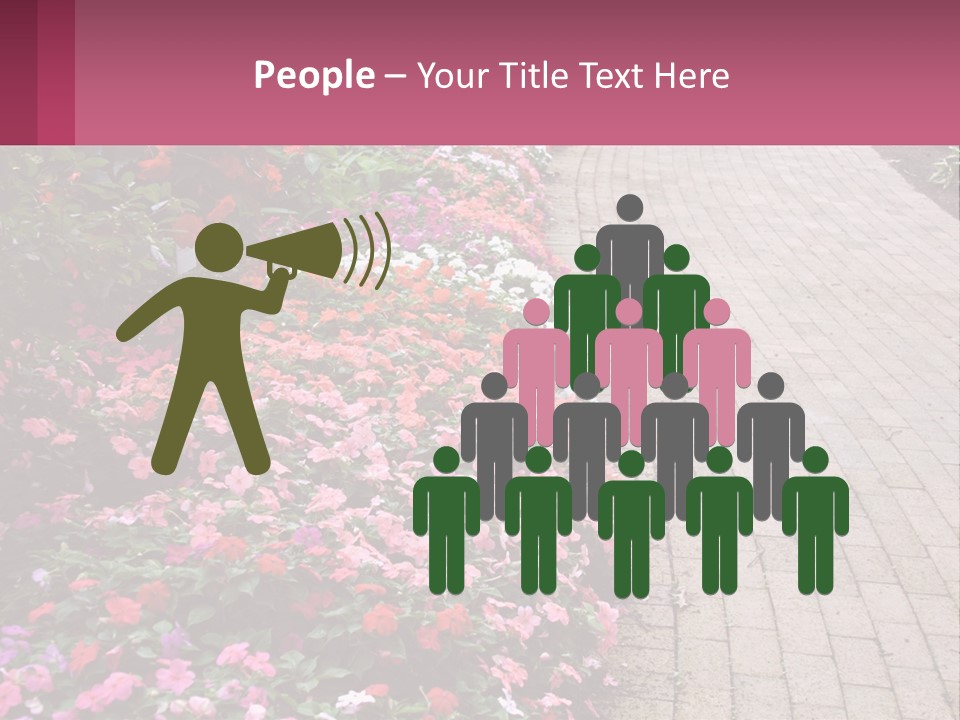 Flowers Blooming Colorful PowerPoint Template