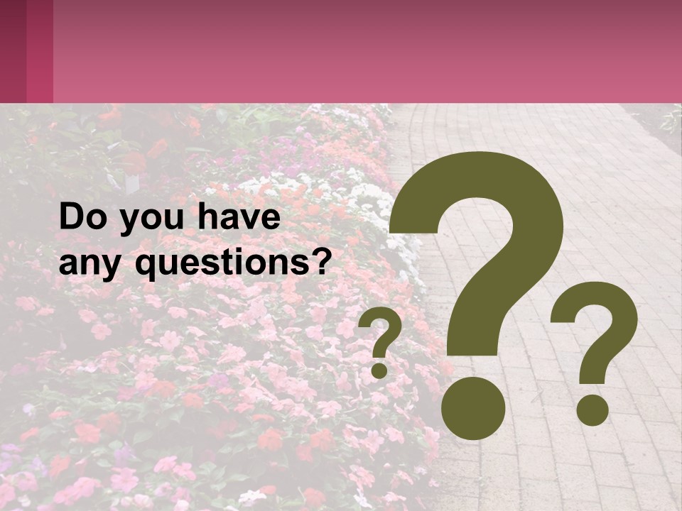 Flowers Blooming Colorful PowerPoint Template