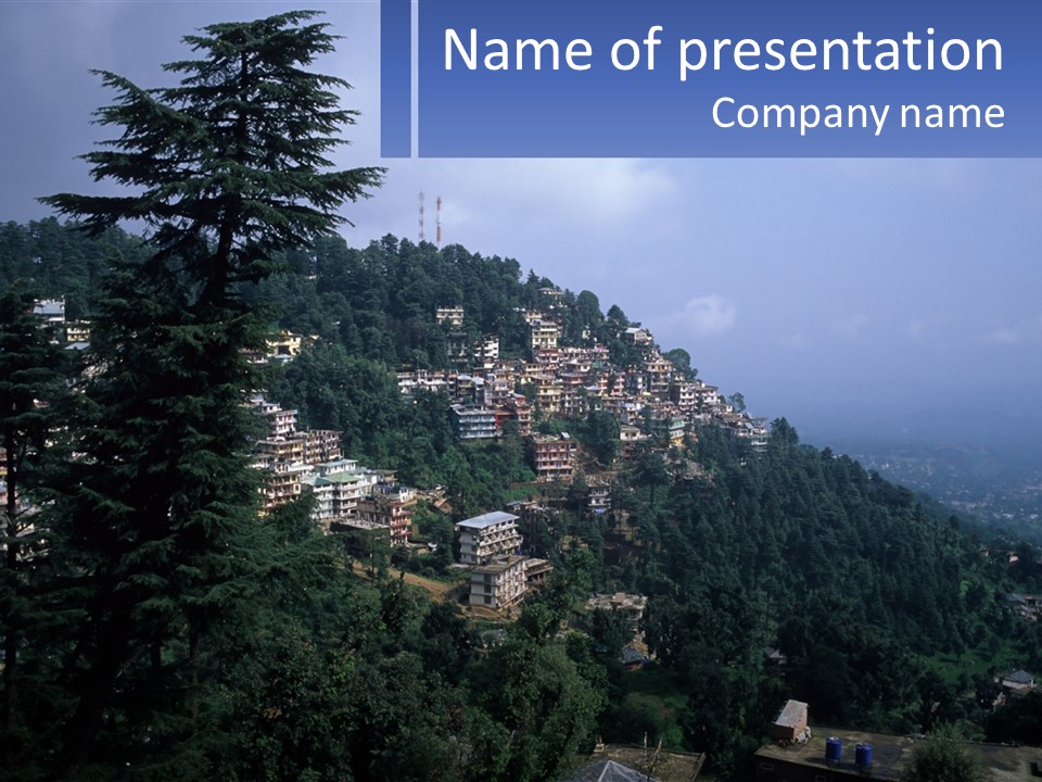 Dharamshala Dharamsala Tree PowerPoint Template