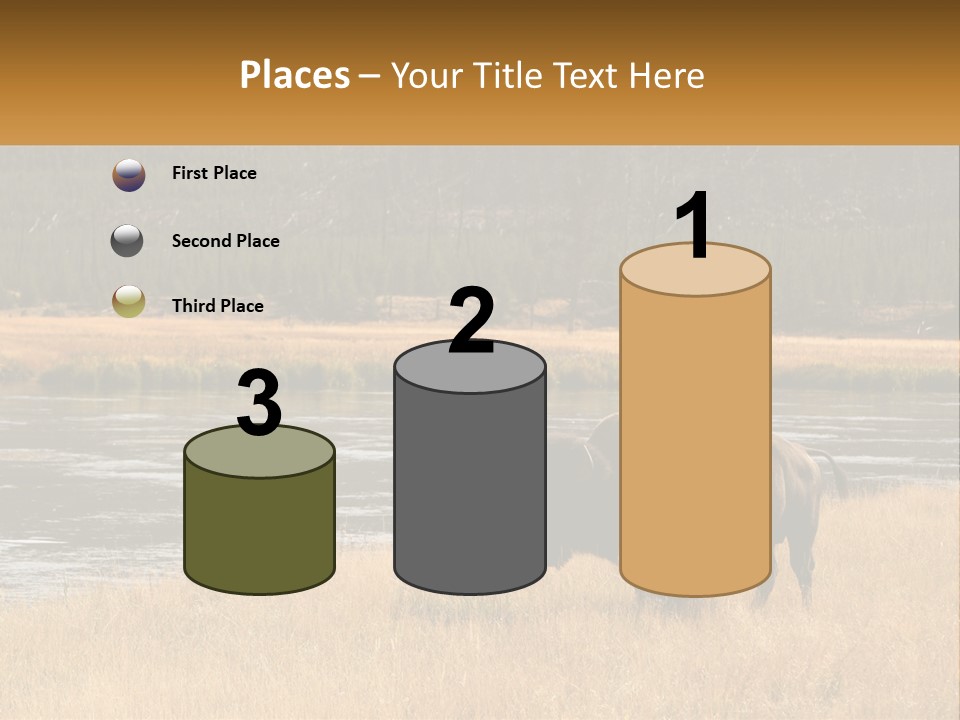 Meadows Indians Buffalo PowerPoint Template