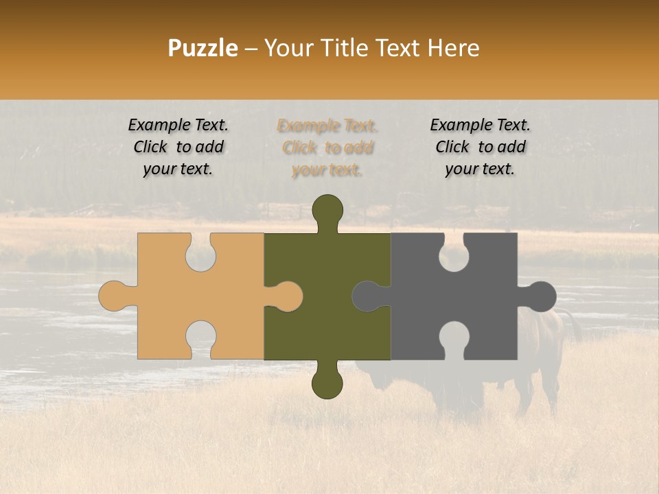 Meadows Indians Buffalo PowerPoint Template