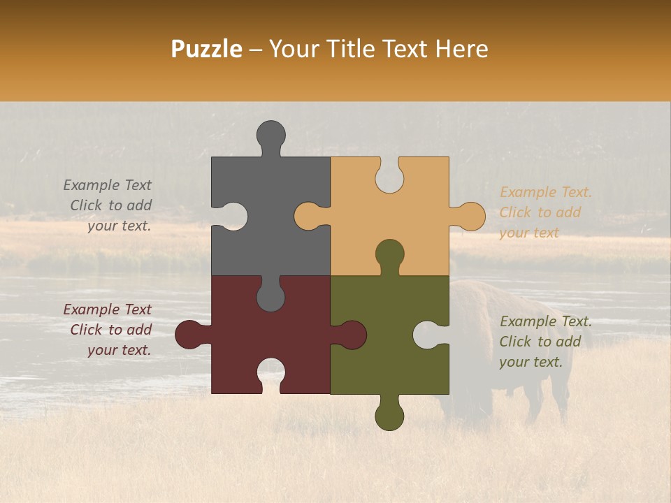 Meadows Indians Buffalo PowerPoint Template