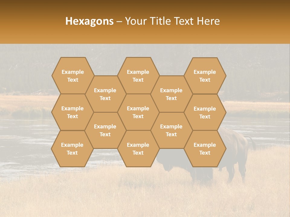 Meadows Indians Buffalo PowerPoint Template