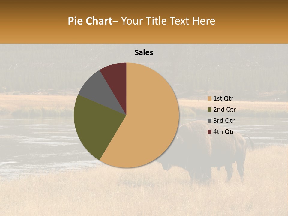 Meadows Indians Buffalo PowerPoint Template
