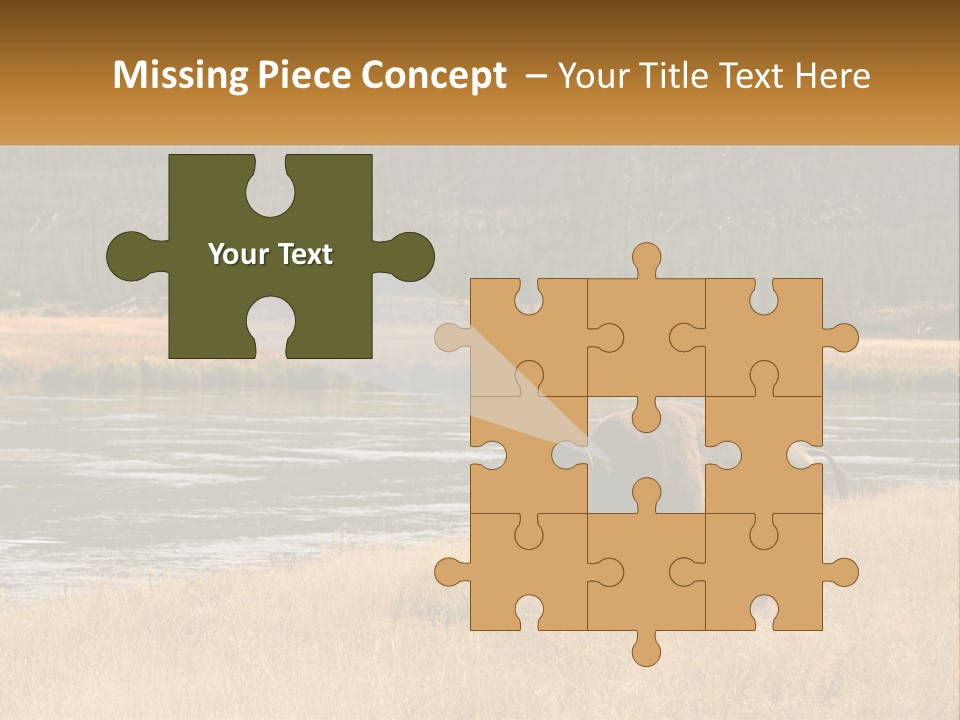 Meadows Indians Buffalo PowerPoint Template