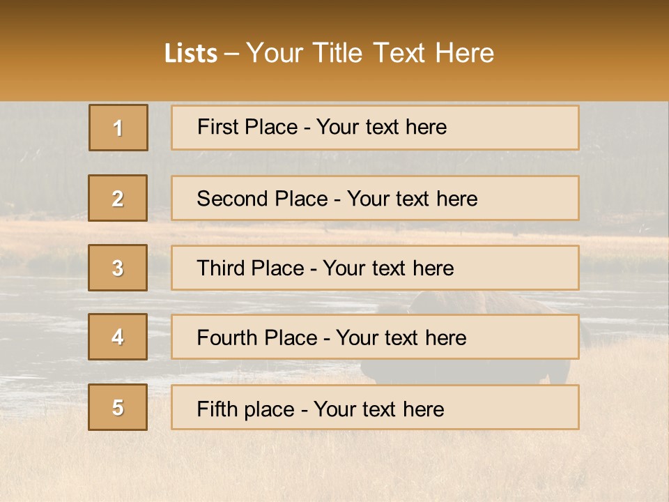 Meadows Indians Buffalo PowerPoint Template