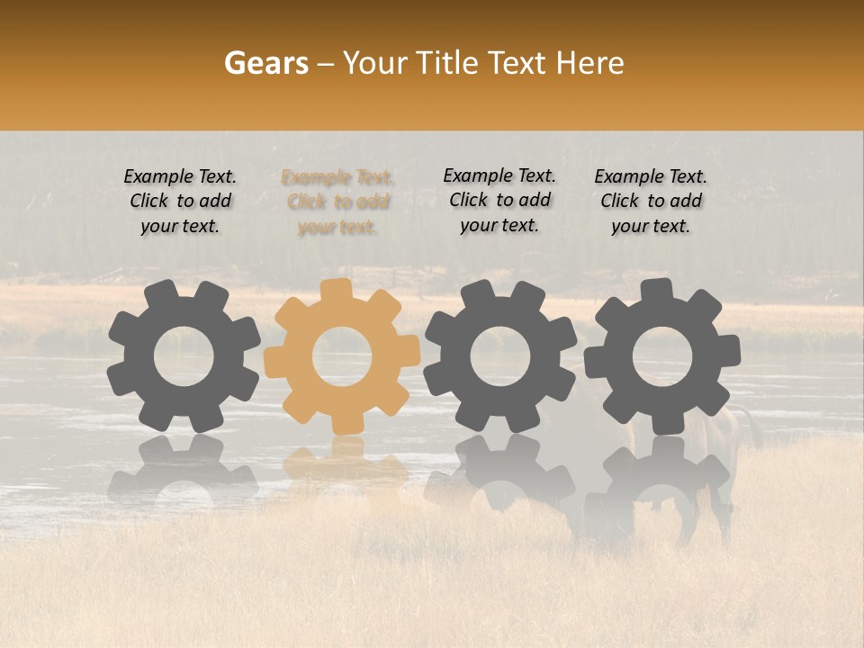 Meadows Indians Buffalo PowerPoint Template