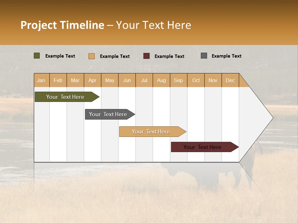 Meadows Indians Buffalo PowerPoint Template