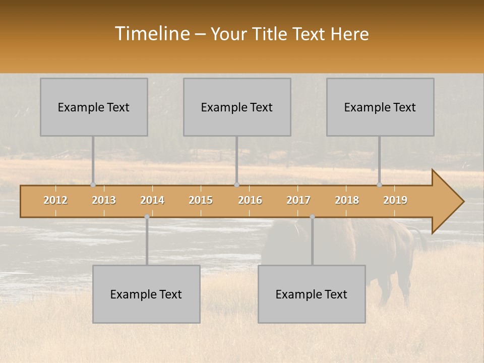 Meadows Indians Buffalo PowerPoint Template