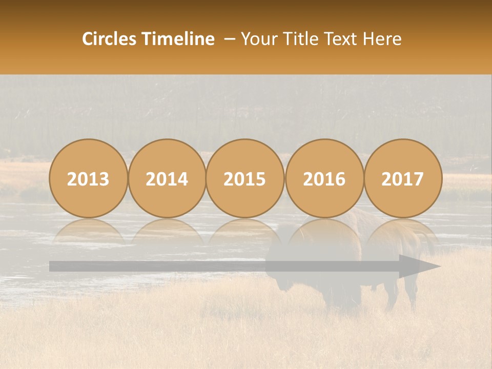 Meadows Indians Buffalo PowerPoint Template