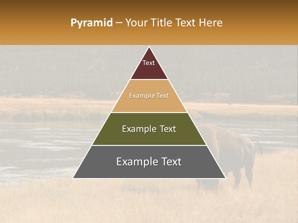 Meadows Indians Buffalo PowerPoint Template