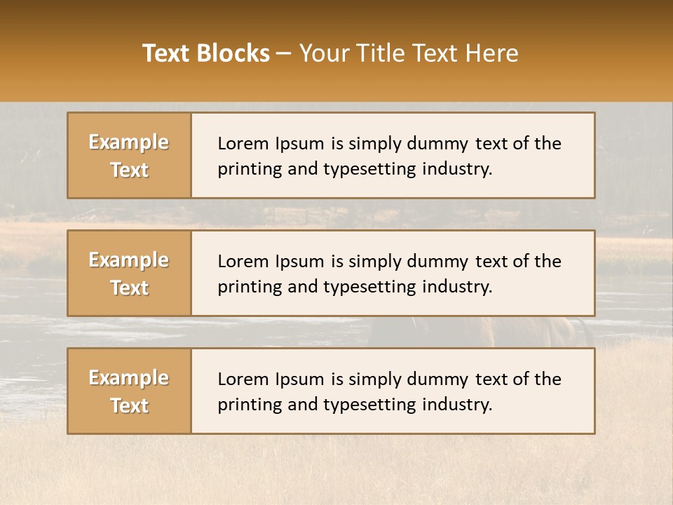 Meadows Indians Buffalo PowerPoint Template