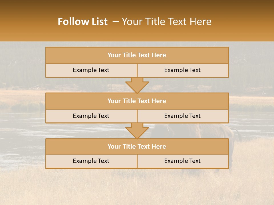Meadows Indians Buffalo PowerPoint Template