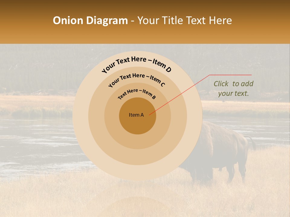 Meadows Indians Buffalo PowerPoint Template