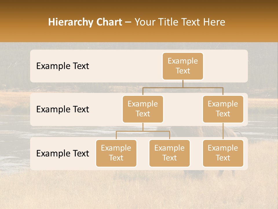 Meadows Indians Buffalo PowerPoint Template