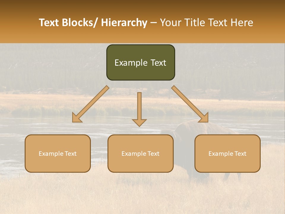 Meadows Indians Buffalo PowerPoint Template
