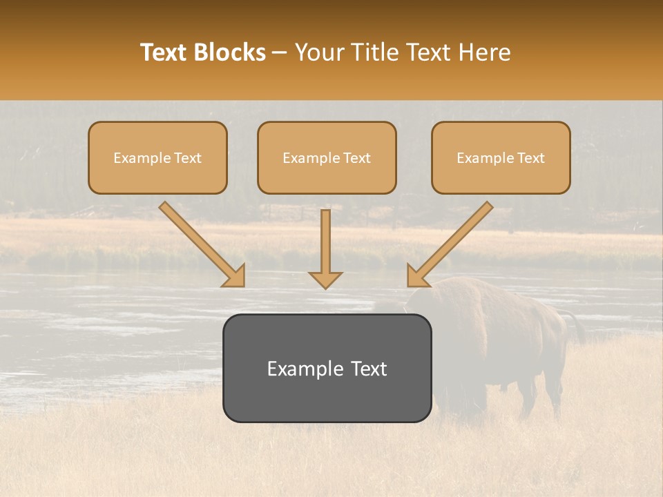 Meadows Indians Buffalo PowerPoint Template