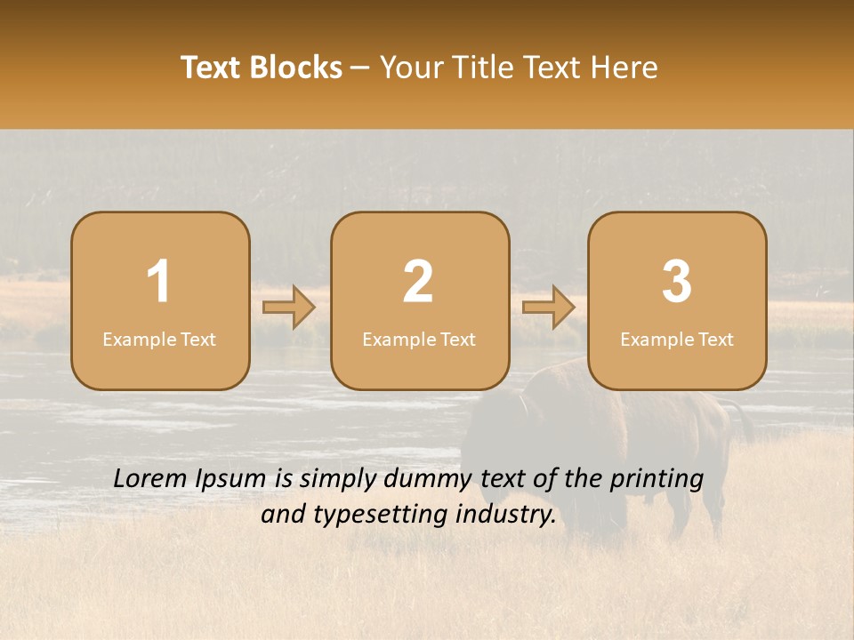 Meadows Indians Buffalo PowerPoint Template