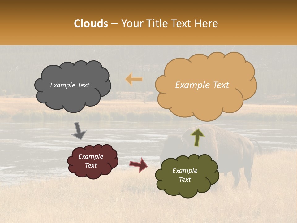 Meadows Indians Buffalo PowerPoint Template