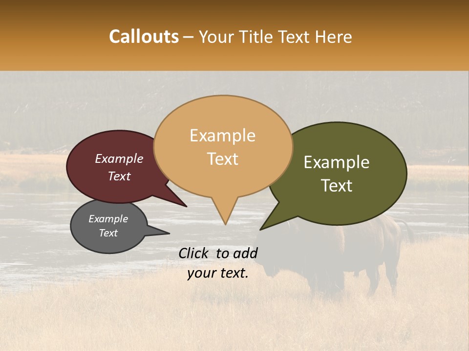 Meadows Indians Buffalo PowerPoint Template