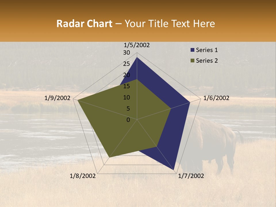 Meadows Indians Buffalo PowerPoint Template