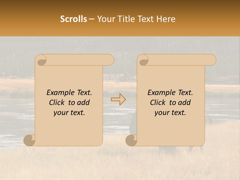 Meadows Indians Buffalo PowerPoint Template