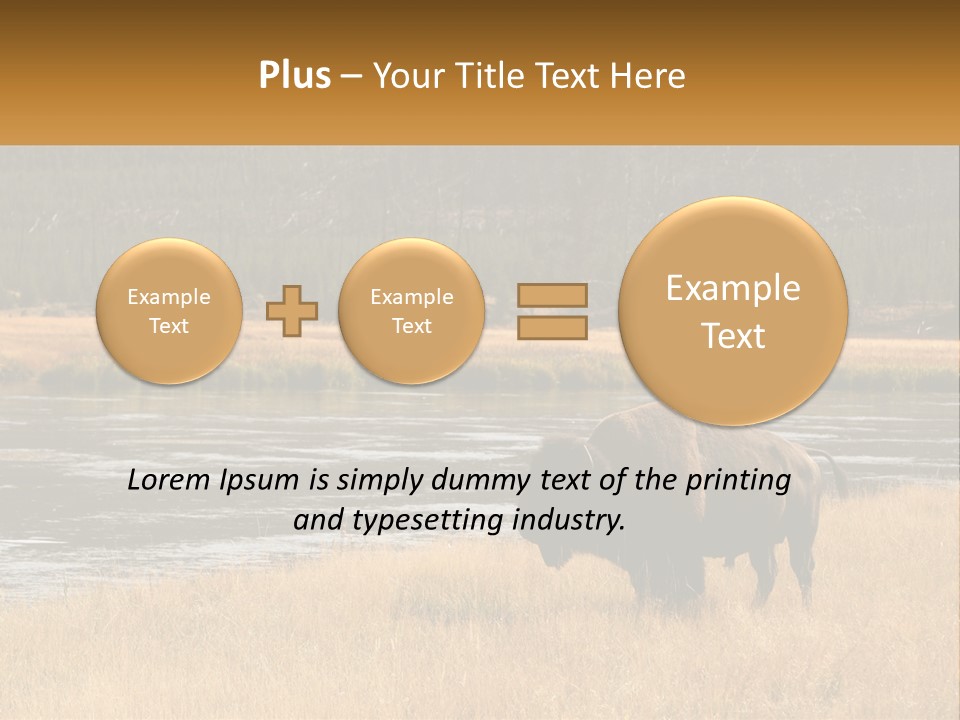 Meadows Indians Buffalo PowerPoint Template
