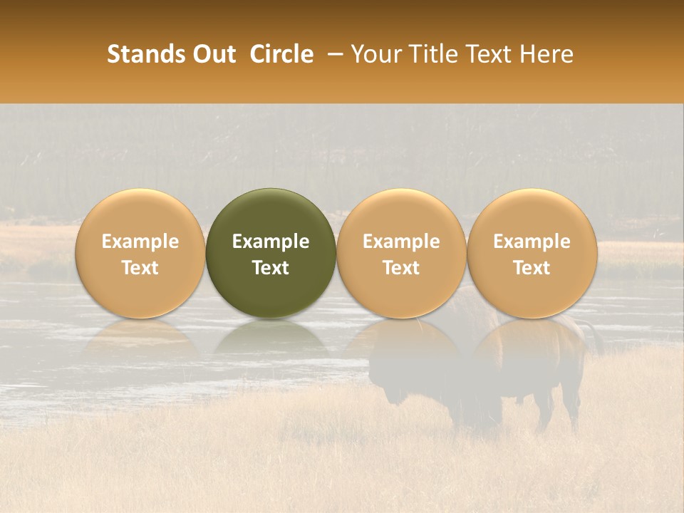 Meadows Indians Buffalo PowerPoint Template