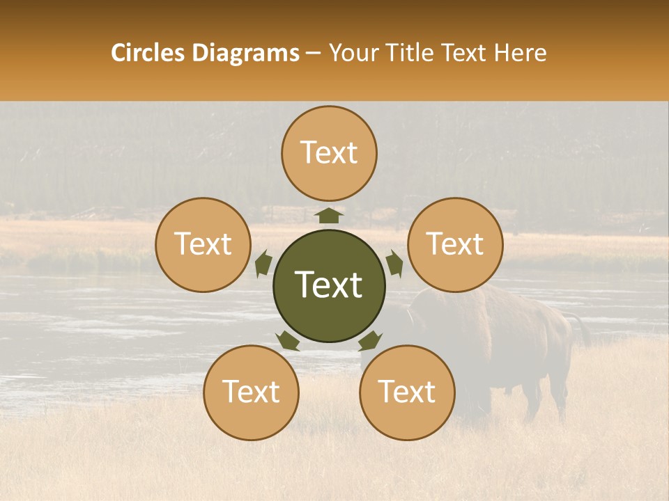 Meadows Indians Buffalo PowerPoint Template