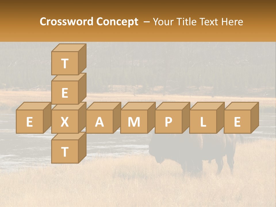 Meadows Indians Buffalo PowerPoint Template