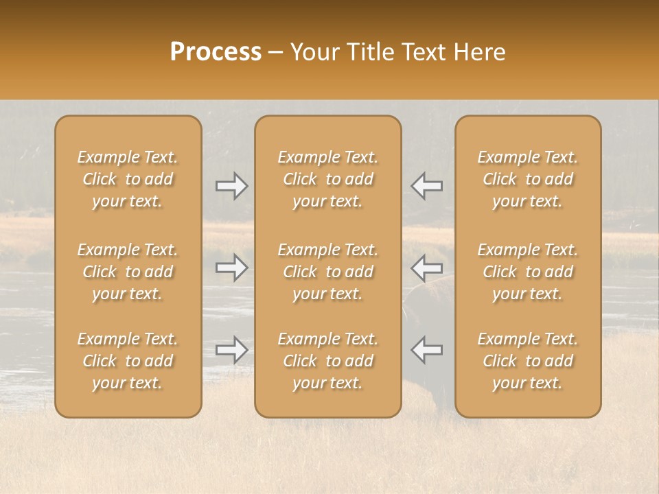 Meadows Indians Buffalo PowerPoint Template