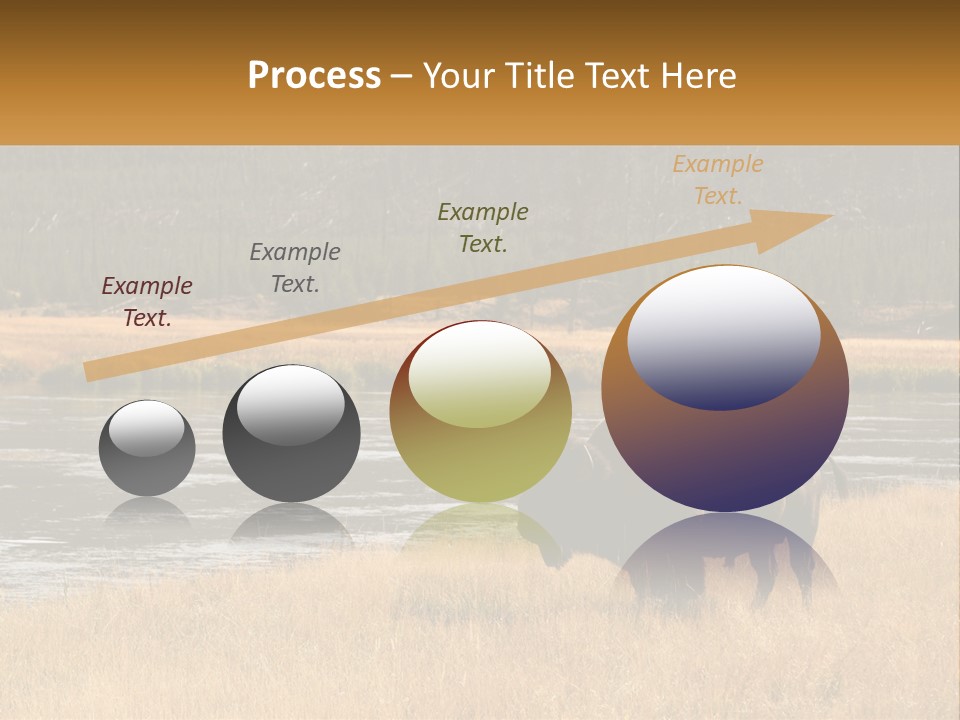 Meadows Indians Buffalo PowerPoint Template