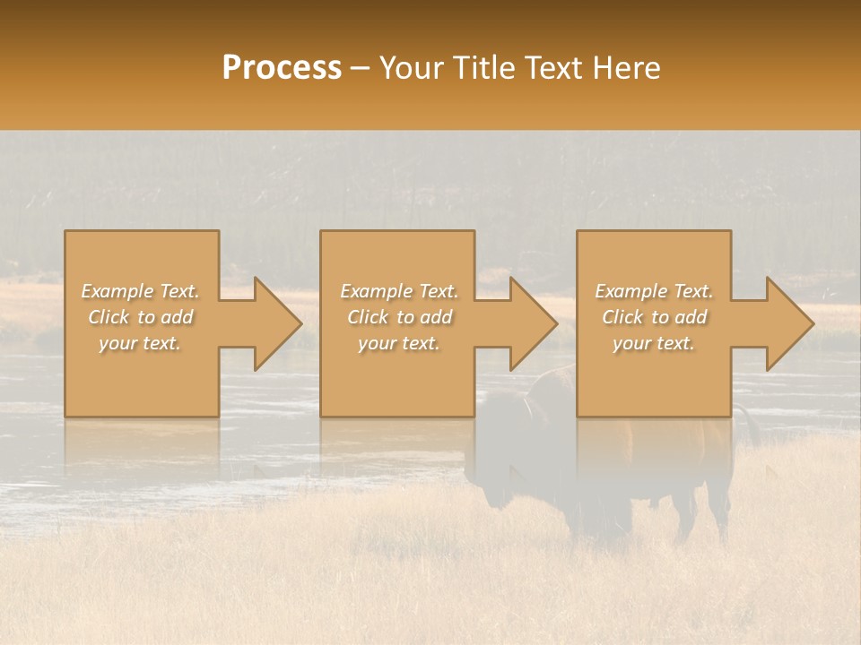 Meadows Indians Buffalo PowerPoint Template