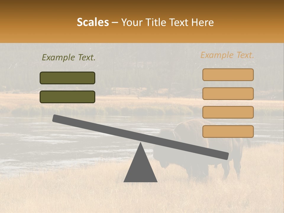 Meadows Indians Buffalo PowerPoint Template