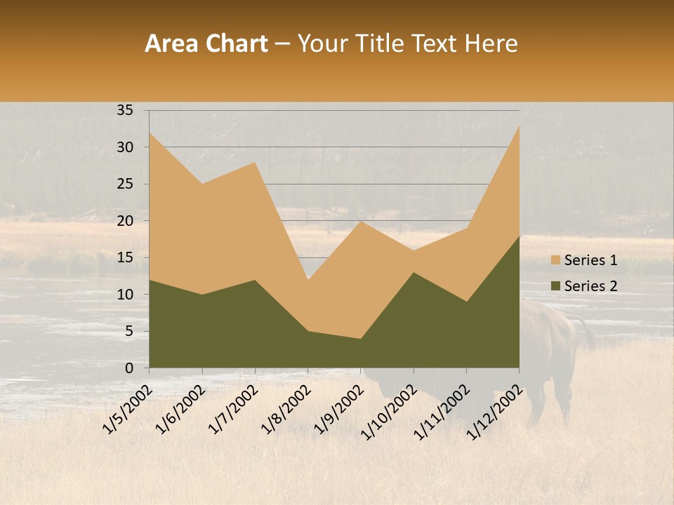 Meadows Indians Buffalo PowerPoint Template