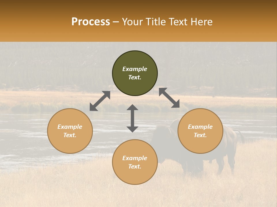 Meadows Indians Buffalo PowerPoint Template