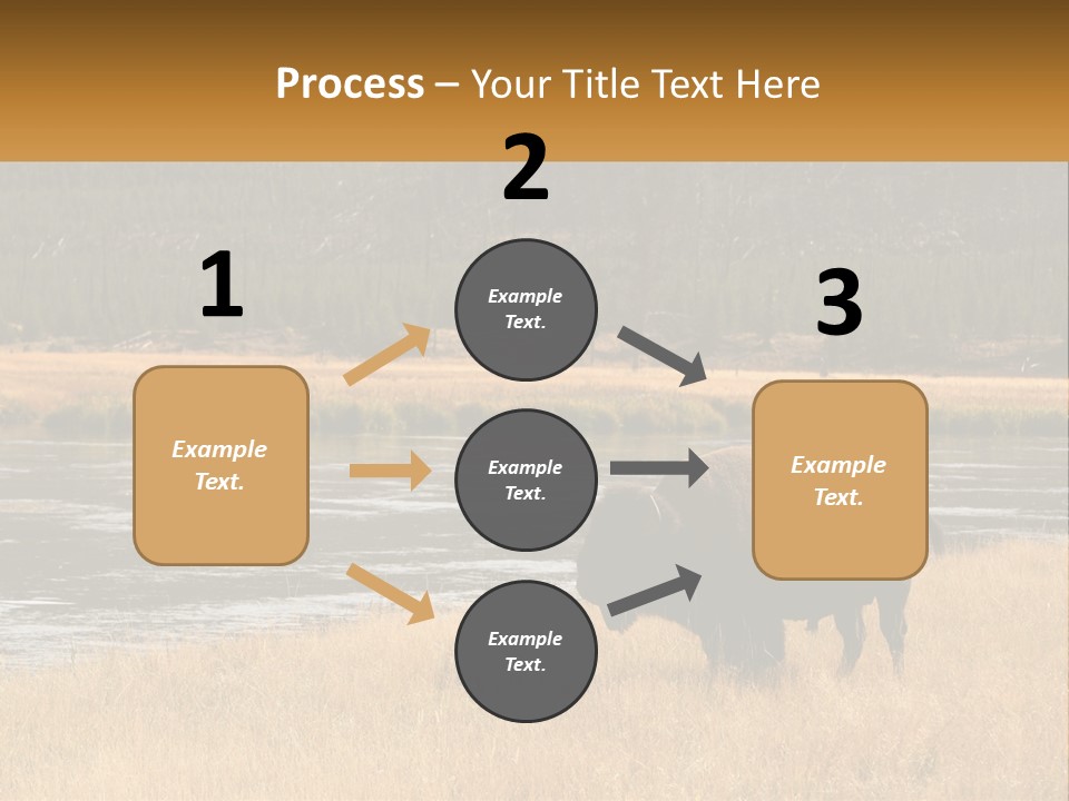 Meadows Indians Buffalo PowerPoint Template