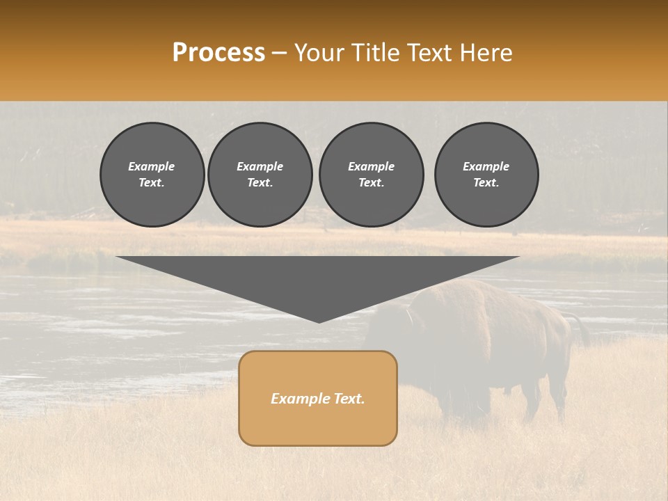 Meadows Indians Buffalo PowerPoint Template