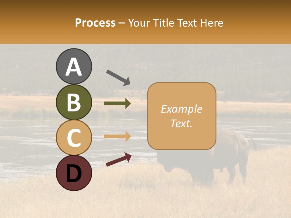 Meadows Indians Buffalo PowerPoint Template