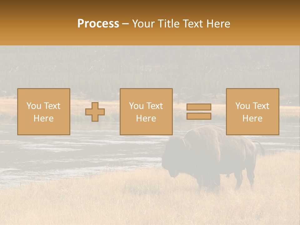 Meadows Indians Buffalo PowerPoint Template