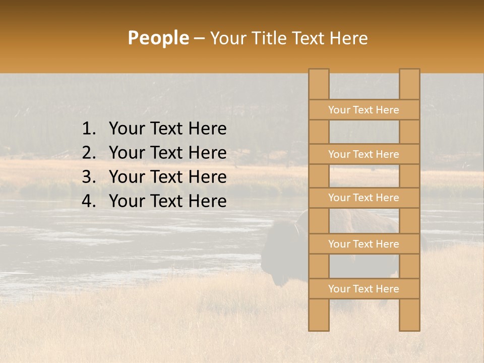 Meadows Indians Buffalo PowerPoint Template