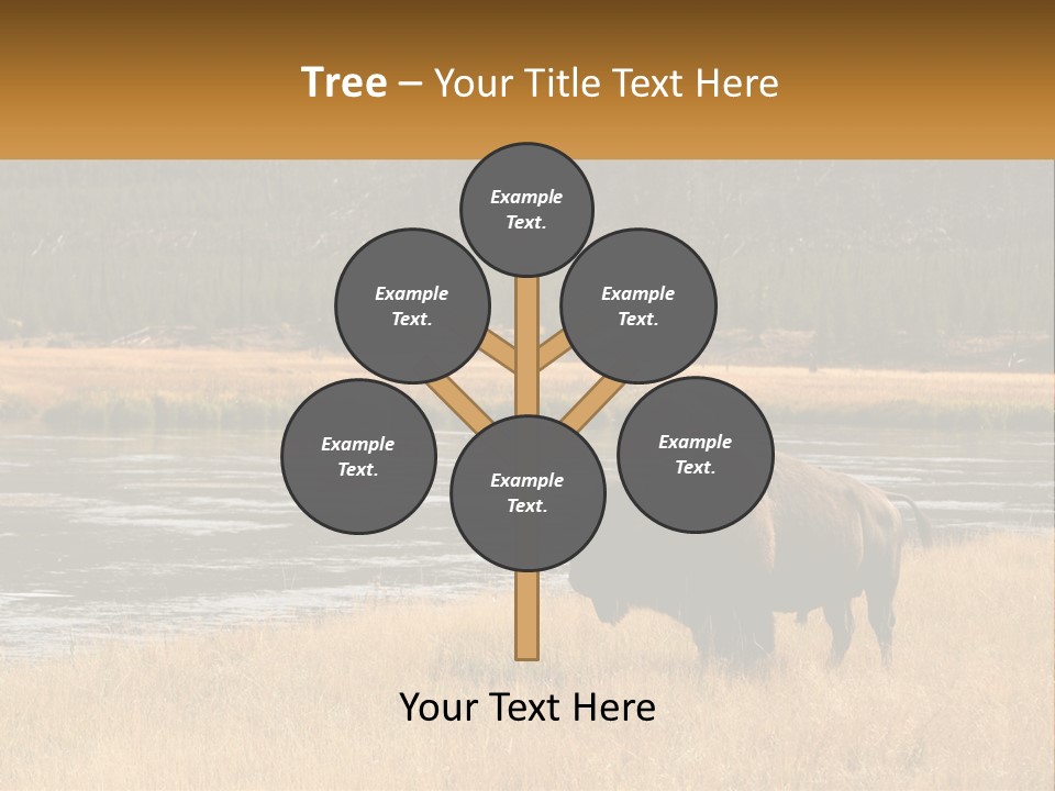 Meadows Indians Buffalo PowerPoint Template