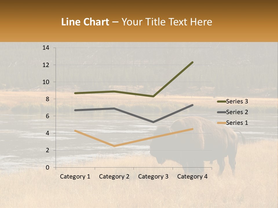 Meadows Indians Buffalo PowerPoint Template