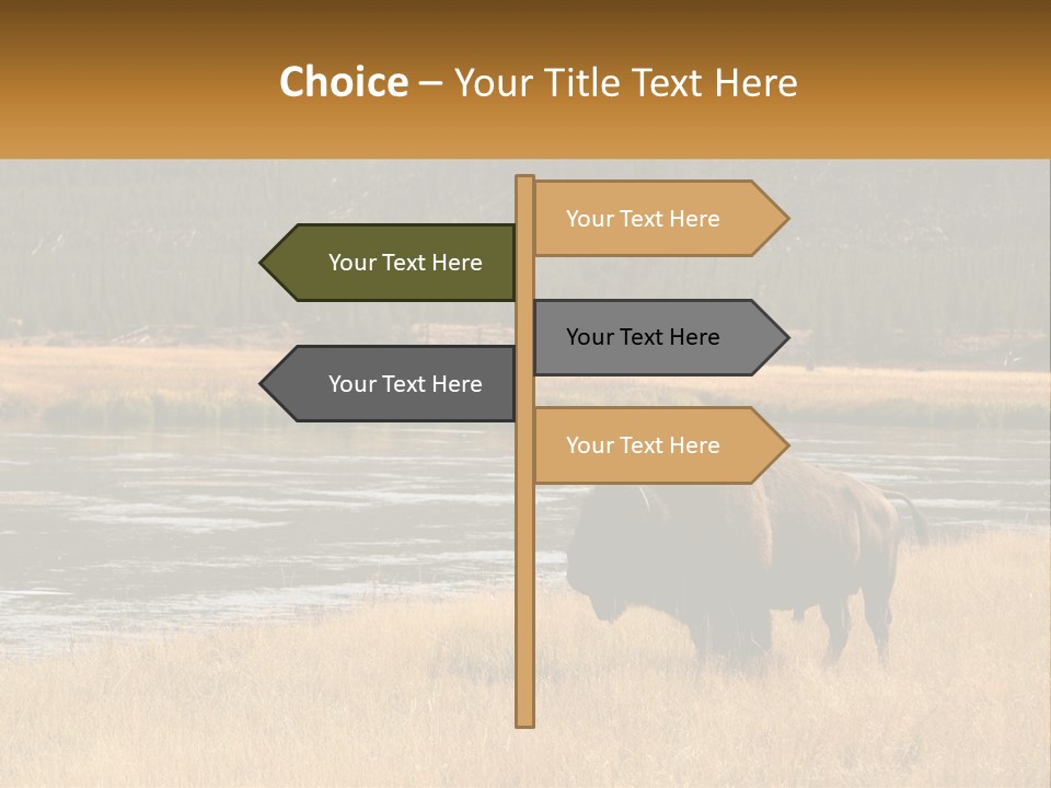 Meadows Indians Buffalo PowerPoint Template