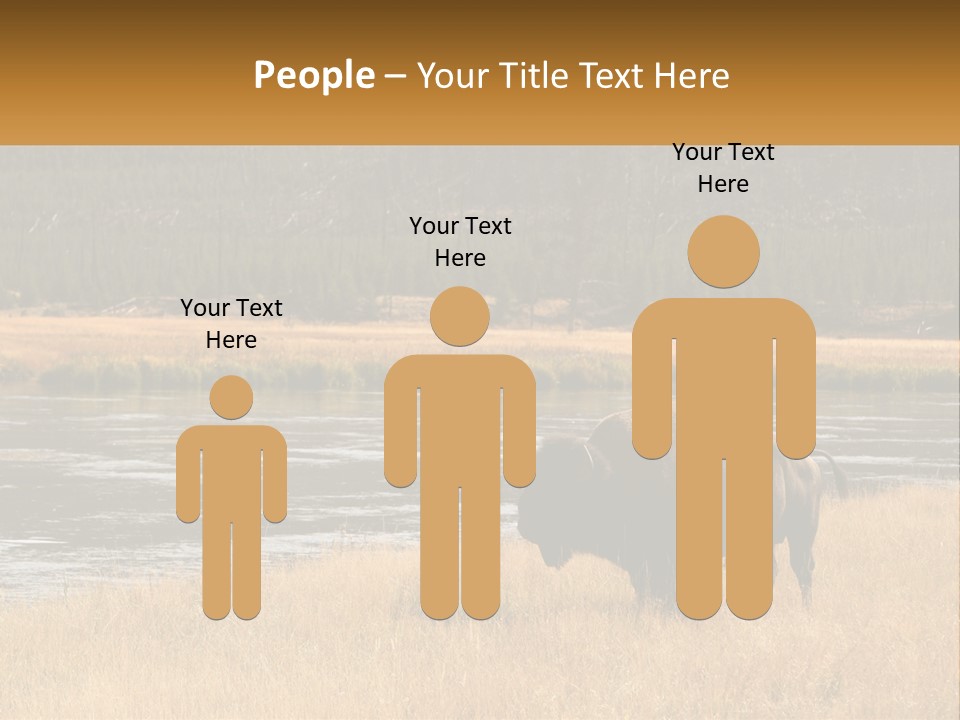 Meadows Indians Buffalo PowerPoint Template