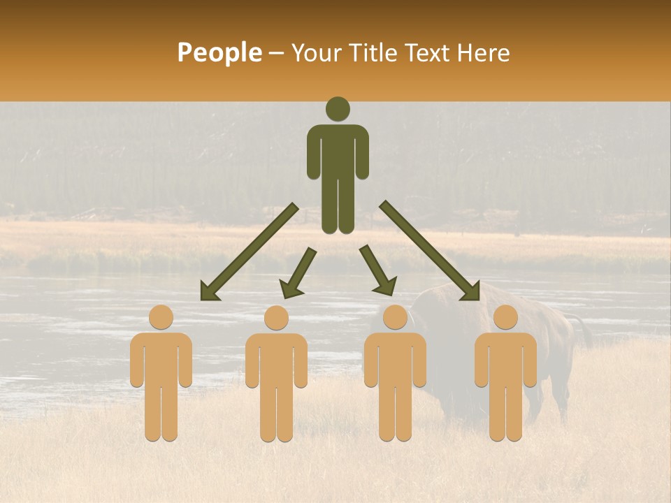 Meadows Indians Buffalo PowerPoint Template